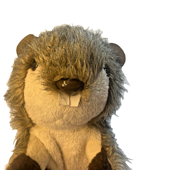 Vintage Beaver Hand Puppet Toys by Daphne Woodchuck Groundhog Plush Head Cover - Picture 2 of 8
